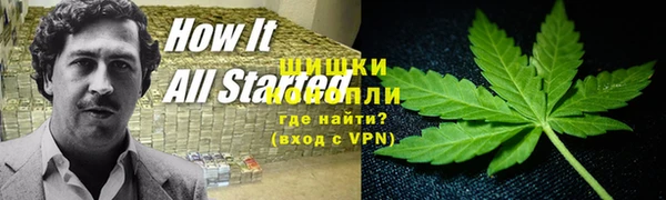 бошки Новодвинск