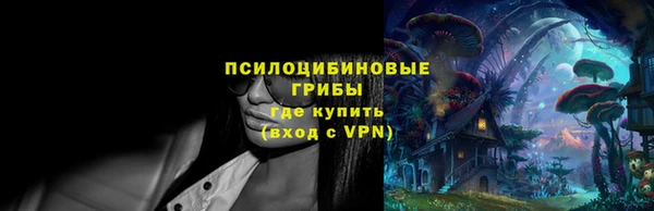 бошки Новодвинск