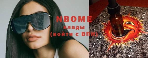 бошки Новодвинск