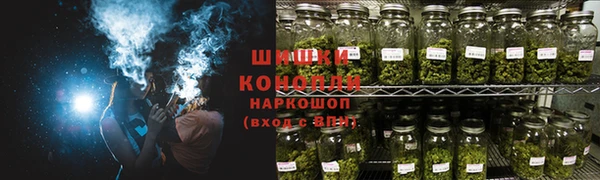 бошки Новодвинск